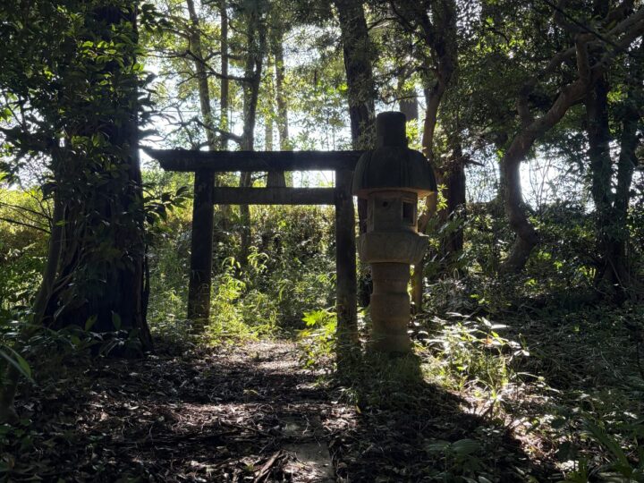 印西市船尾 長屋門のある古家付きの土地（約1,580坪） 写真9